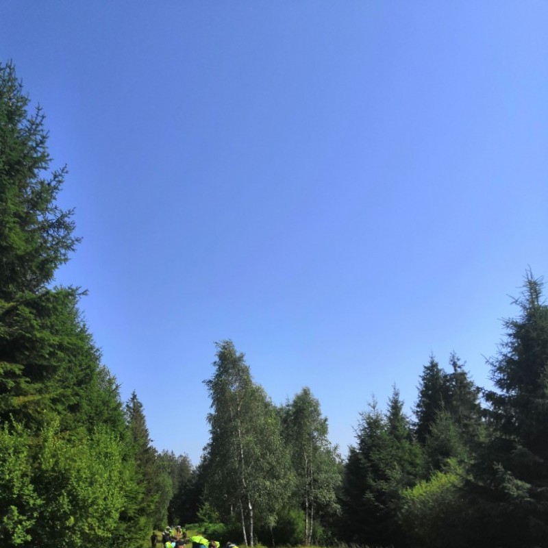 IMG 20190724 162511 - Scouts en Gidsen Zaventem 